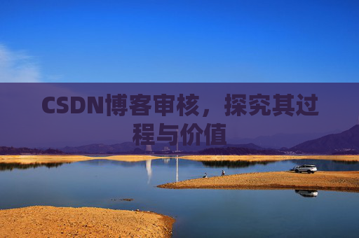 CSDN博客审核，探究其过程与价值